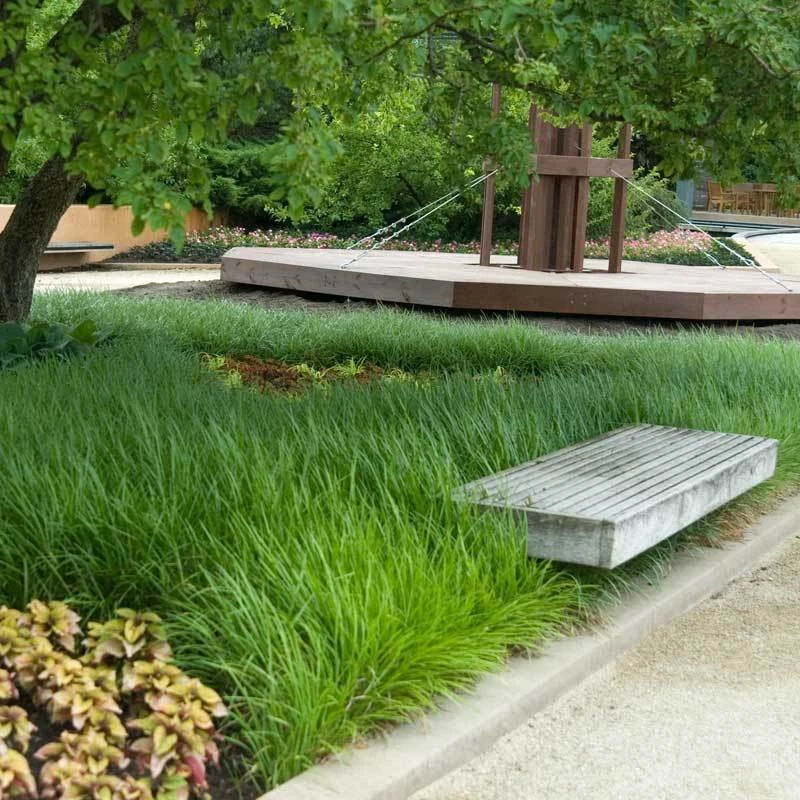 Lilyturf 2 Lilyturf - Image 2